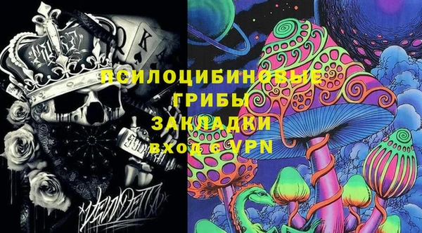 прущие грибы Алзамай
