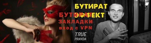 сатива Ростов