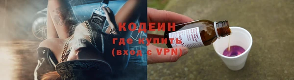 сатива Ростов