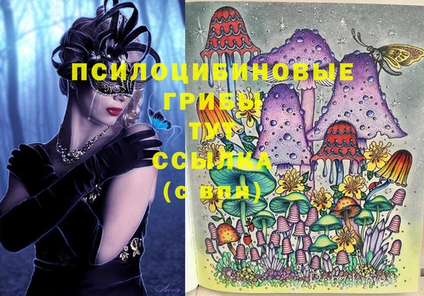 прущие грибы Алзамай
