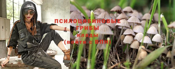 прущая мука Россошь