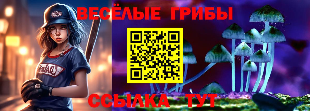 Менделеевск  Псилоцибиновые грибы мицелий  Вход с VPN 