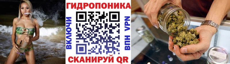 hydra   Менделеевск  Конопля план  дарнет шоп 